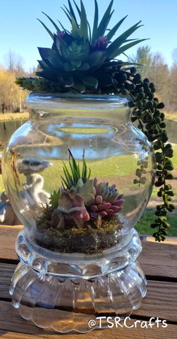 Fairy Garden Terrarium